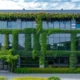Vertical Gardens & How Home and Business Property Owners Are Utilising Them to Full Effect.