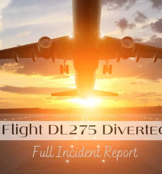 Delta Flight DL275 Diverted LAX: Full Incident Report