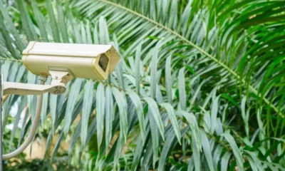 Garden Security Tips to Keep Your Home Safe