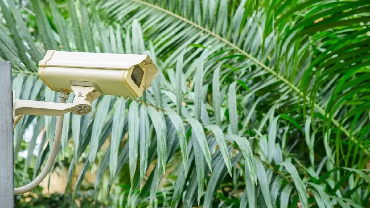 Garden Security Tips to Keep Your Home Safe