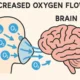 Oxygen and the Brain: How Enhanced Oxygenation Supports Cognitive Recovery