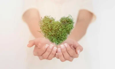 What Is Regenerative Health?