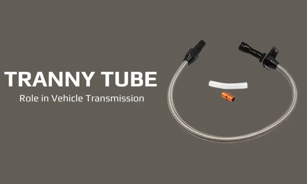 Tranny Tube