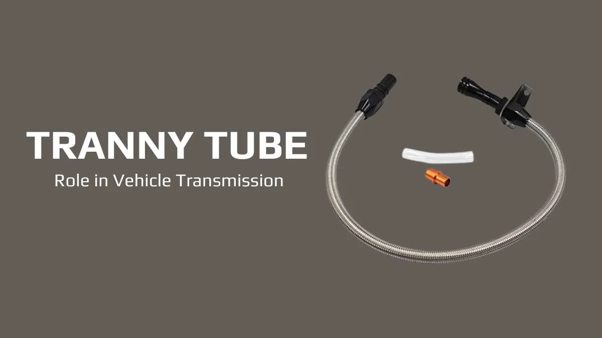 Tranny Tube