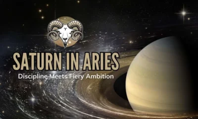 Saturn in Aries