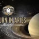Saturn in Aries