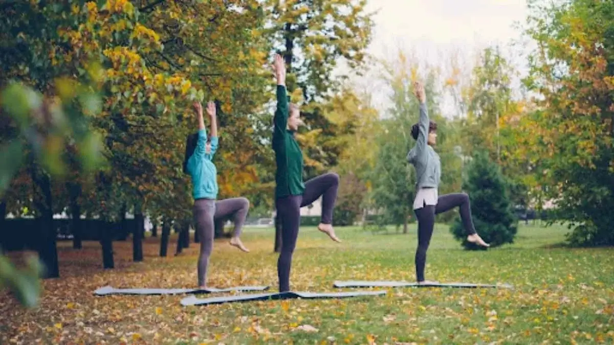 Exercise as Therapy: The Link Between Movement and Mental Health