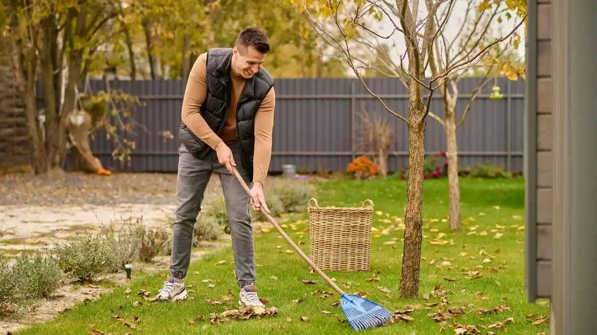 From Patchy to Perfect: Fixing Common Lawn Problems