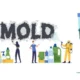 How Mold Affects Everyday Life and Simple Steps to Control It