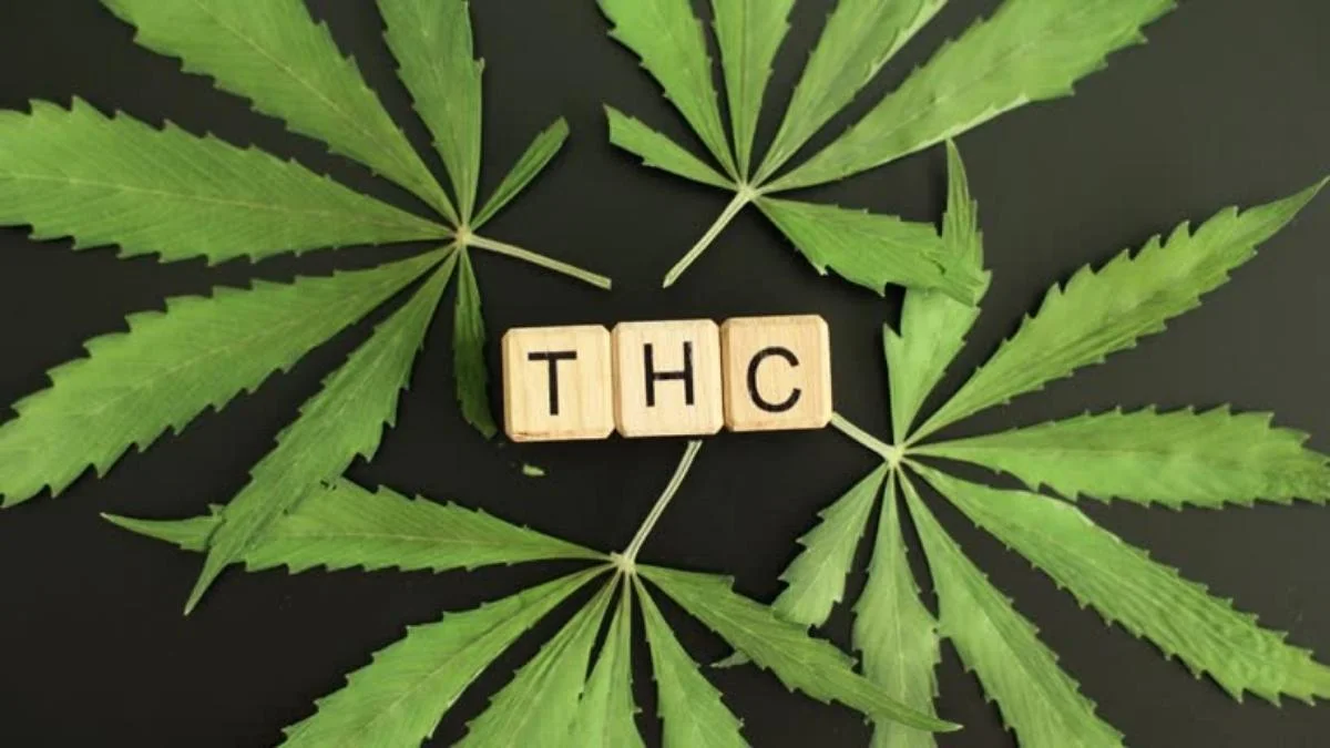 THC Dependency Help: Your Complete Guide to Overcoming Marijuana Addiction