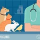 Vet Today: Trusted Veterinary Care for Every Pet