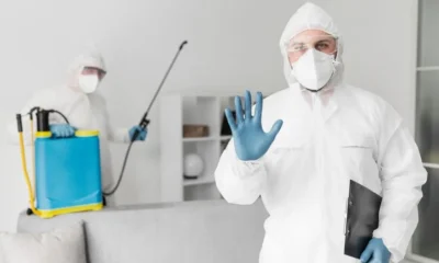 Why Professional Pest Control Is Essential for Home Protection