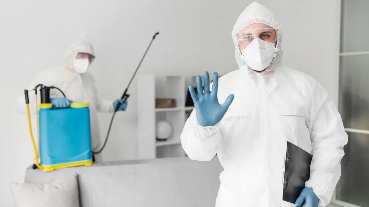 Why Professional Pest Control Is Essential for Home Protection