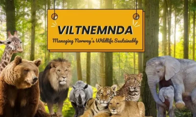Viltnemnda