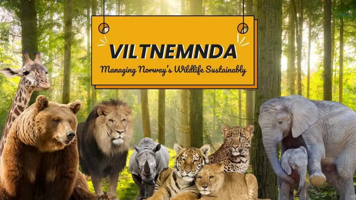 Viltnemnda