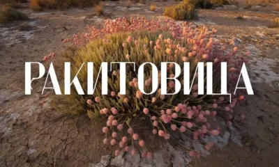 Ракитовица