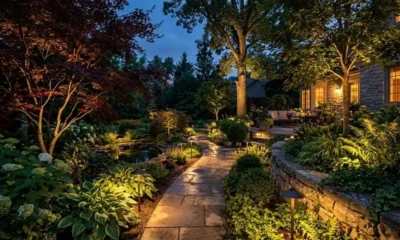 Landscape Lighting: How to Make Your Garden Beautiful After Dark