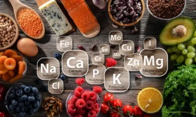 Key Minerals for Everyday Health: The Role of Calcium and Iron