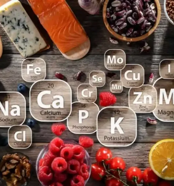 Key Minerals for Everyday Health: The Role of Calcium and Iron
