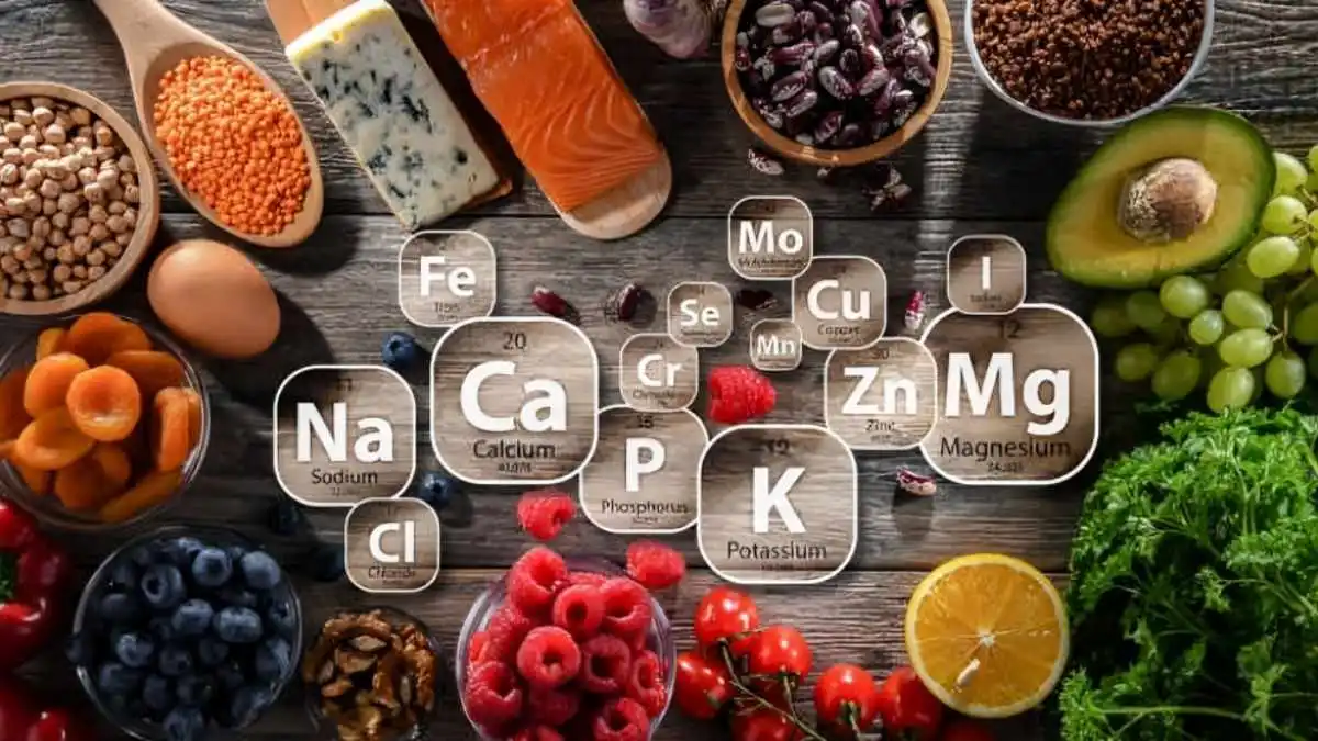 Key Minerals for Everyday Health: The Role of Calcium and Iron