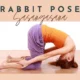 Rabbit Pose