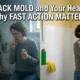 Black Mold and Your Health: Why Fast Action Matters