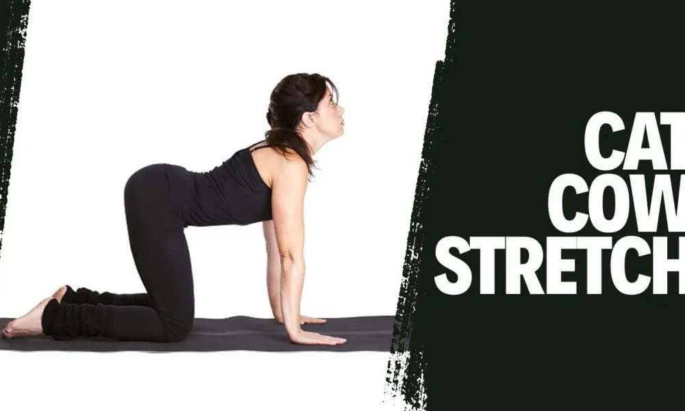 Cat Cow Stretch