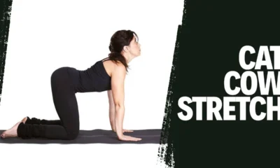 Cat Cow Stretch
