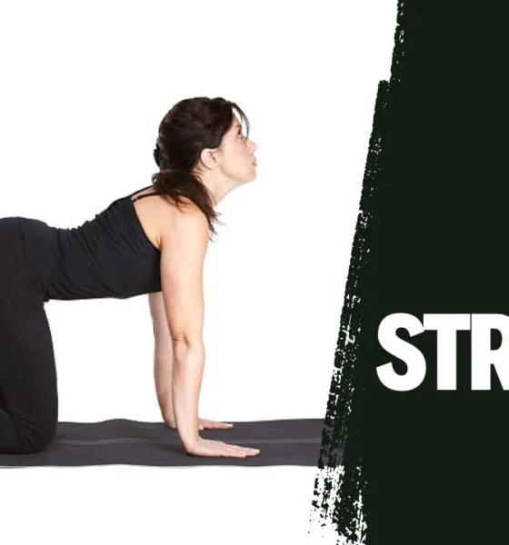 Cat Cow Stretch