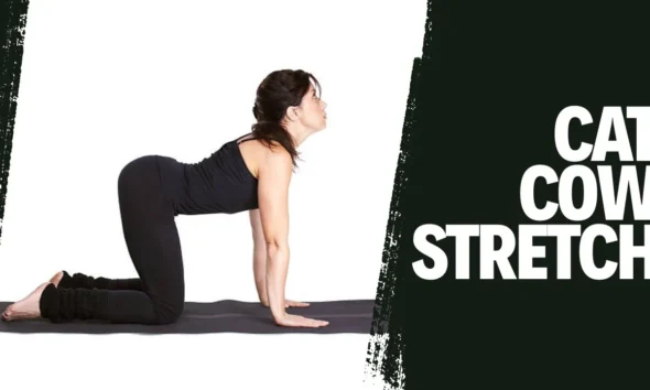Cat Cow Stretch