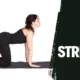 Cat Cow Stretch