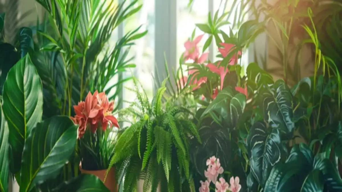 Faux Plants vs Real Plants: Which Is More Cost-Effective for Home Decor?