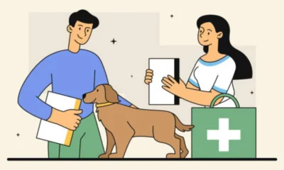 How 24-Hour Vets Support Pet Emergencies