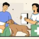 How 24-Hour Vets Support Pet Emergencies
