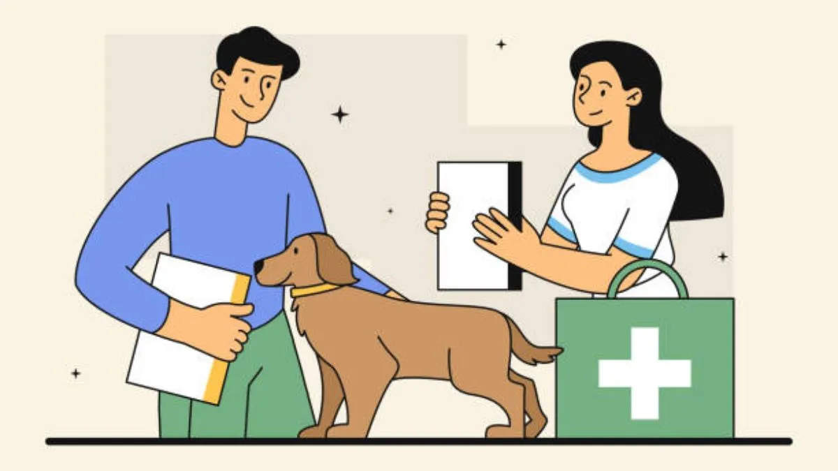 How 24-Hour Vets Support Pet Emergencies