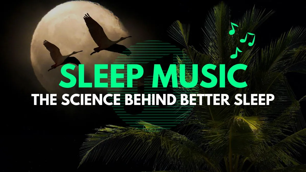 Sleep Music: