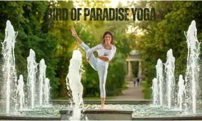 Bird of Paradise Yoga