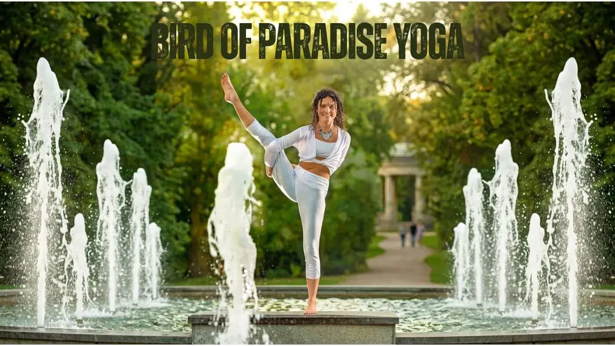 Bird of Paradise Yoga