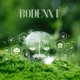 Bodenxt