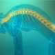 Spinal Decompression at Home: What It Actually Does and Who It's For