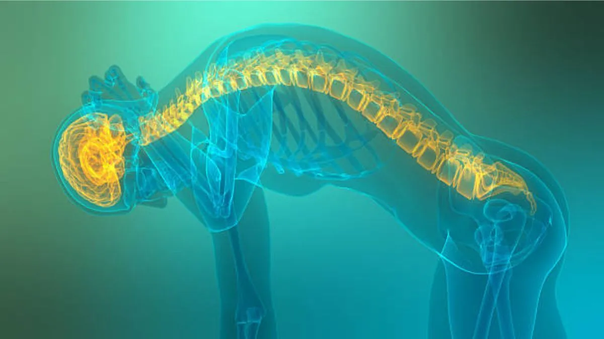 Spinal Decompression at Home: What It Actually Does and Who It's For