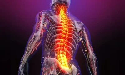 Daily Spine Care: Simple Habits for Less Strain and More Comfortable Movement