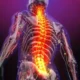 Daily Spine Care: Simple Habits for Less Strain and More Comfortable Movement