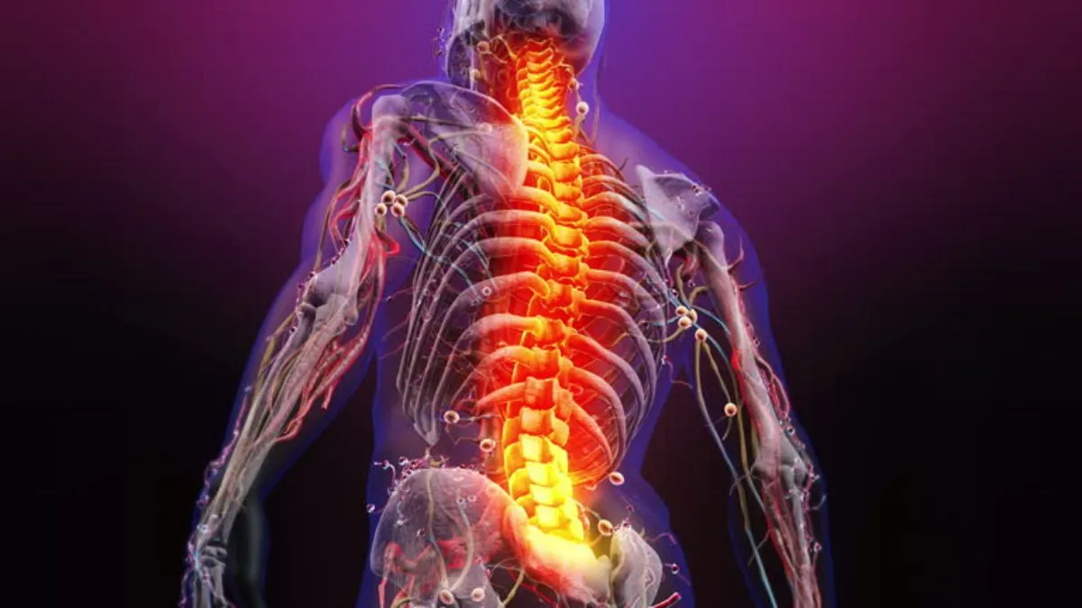 Daily Spine Care: Simple Habits for Less Strain and More Comfortable Movement